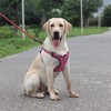 Suredoo No Pull Dog Harness Adjustable Breathable Reflective Lightweight Pet