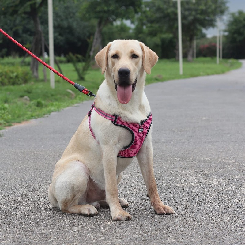 Suredoo No Pull Dog Harness Adjustable Breathable Reflective Lightweight Pet
