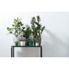 elho Brussels Round 14 - Flower Pot for Indoor -