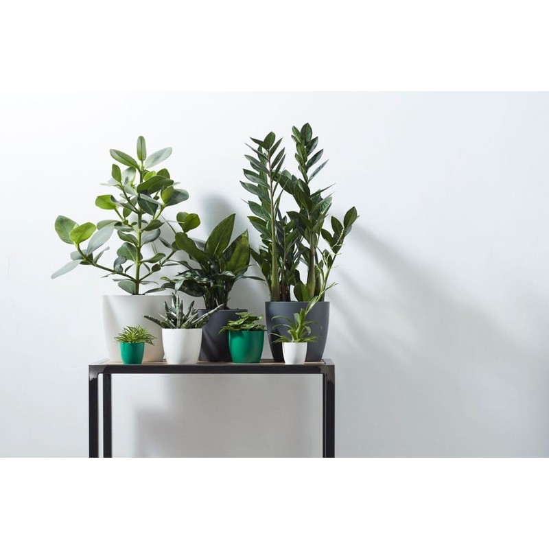 elho Brussels Round 14 - Flower Pot for Indoor -
