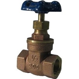 Watts WGV 1/2" Foreign Gate Valve