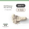Double Wood Supplements MAGNESIUM CITRATE 800mg 180 capsules