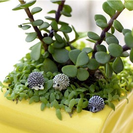 30 Pcs Mini Hedgehog Figurines, Miniature Moss Landscape DIY Garden Decor