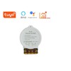 MHCOZY Tuya Smart life app 30A High Power WiFi Smart