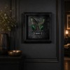 Real Handmade Taxidermy Butterfly Framed Gothic Baroque Art Home Decor