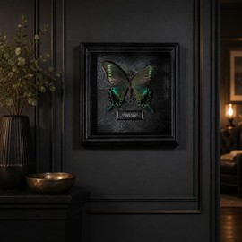 Real Handmade Taxidermy Butterfly Framed Gothic Baroque Art Home Decor