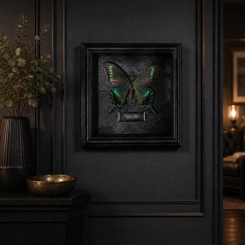 Real Handmade Taxidermy Butterfly Framed Gothic Baroque Art Home Decor
