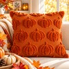 3D Plush Pumpkin Pillow Cover for Fall Decorating – Soft