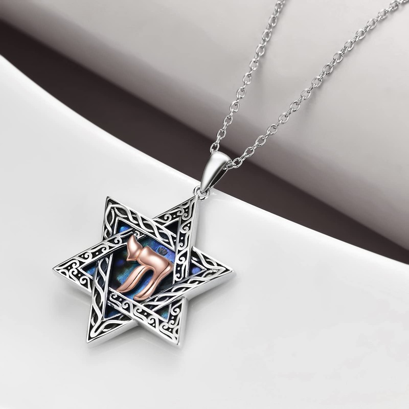 POPLYKE Star of David Necklace Sterling Silver Hebrew Chai (Life)