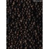Allspice Whole | 40 g | Clove Pepper | Pimento