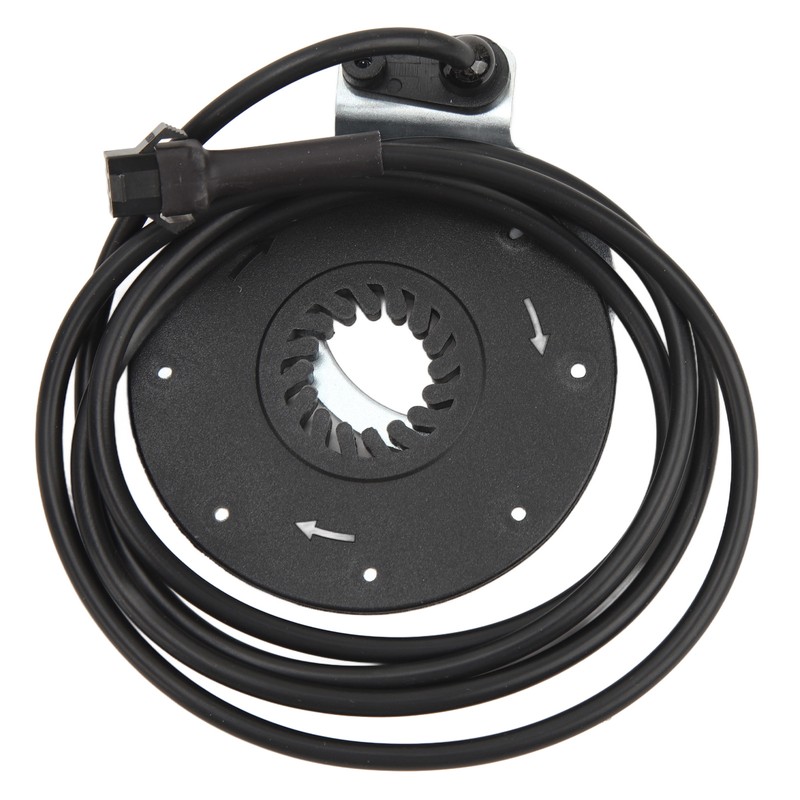 Electric Bicycle Lithium Battery Conversion Kit 15A Controller with SM