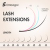 Embagol Classic Volume Lash Extensions Cashmere Lash Trays Premium Silk