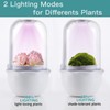 Ronjregan Smart Planter with Timer and Fan, Small Terrarium Kit