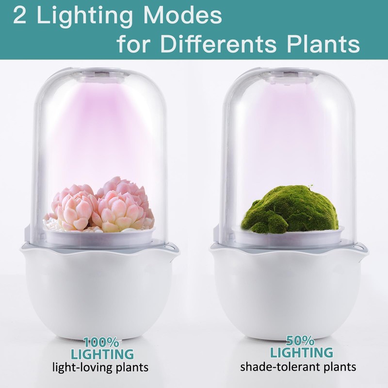 Ronjregan Smart Planter with Timer and Fan, Small Terrarium Kit