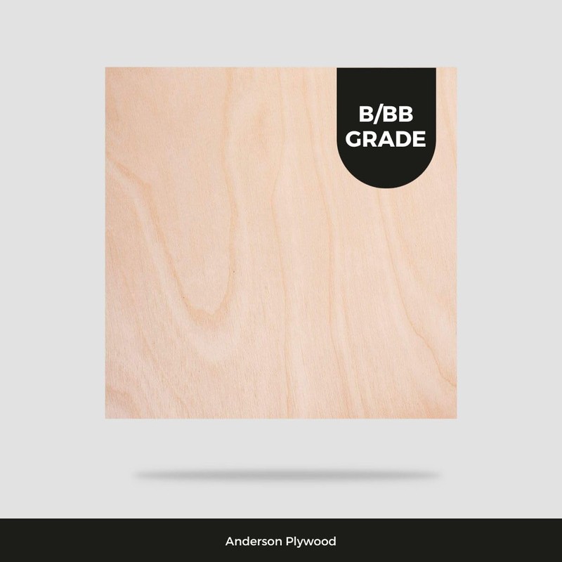 6MM 1/4" x 12 x 12 Baltic Birch Plywood B/BB
