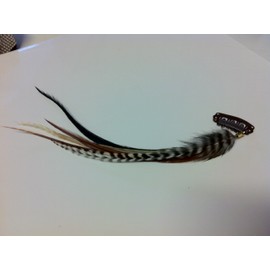 Clip-on 4"-6" Black & Brown with Beige Feathers for Hair Extension 5 Feathers