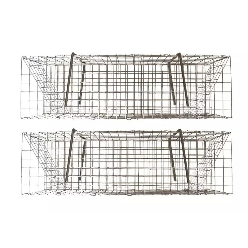 2 Folding Colony Muskrat Trap - 6" x 6" x