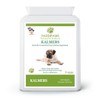 PADDIPAWS Dog Calming Tablets - A natural blend to help