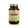 Solgar Boswellia Resin Extract Vegetable Capsules - Pack of 60