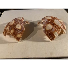 VTG Carved Cut Large Italian Shell Pendant Pre Drilled 2.75" Lot Of 2