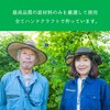 Ryukyu Green Tea Butterfly Pea Tea Bags Made in Okinawa