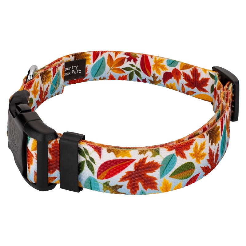 Country Brook Design 1 Inch Adjustable Dog Collar for Small,