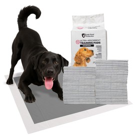 FPN Charcoal Puppy Pads 24"x24" Pack of 40, Odor-Control Super Absorbent 5-Layer Leak-Proof Disposable Pee Pad for Dogs, Cats & Rabbits, Ideal for All Pets