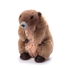 The Petting Zoo Marmot Stuffed Animal Plushie, Gifts for Kids, Wild Onez Animals, Marmot Plush Toy, 9 inches