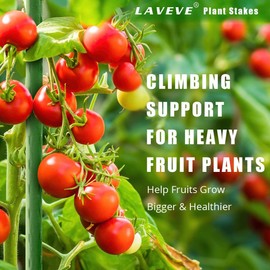 LAVEVE Garden Stakes 58 Inches Heavy Duty Steel Tomato Stakes, Plastic Coated Support Stakes for Securing Trees, Climbing Plants, Cucumber, Beans, Pack of 40