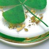 ANH3KT - 2 Pack Real Four Leaf Clover Good Luck