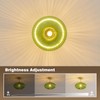 Feasey Green Semi Flush Mount Ceiling Light,Glass Ceiling Light Fixture