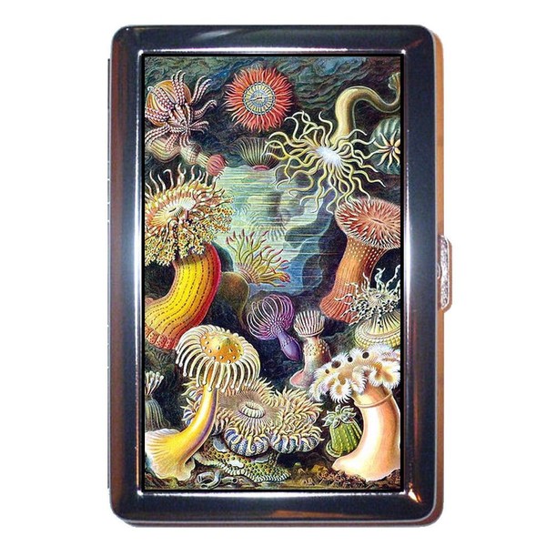 Steampunk Sea Anemone Colorful Victorian Art: Stainless Steel ID or Cigarettes Case (King Size or 100mm)