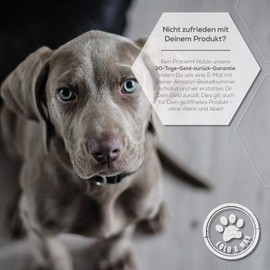 Lolo & Max Ear Mite Drops - Ear Mite Drops Agent for Dogs, Cats, Rodents, Pets 40 ml - Gentle Care Product for Ear Mites - Ear Drops Mites