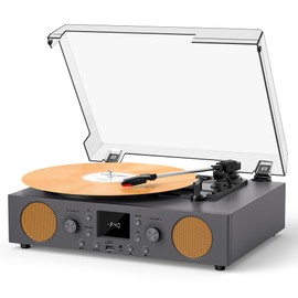 Vinyl Record Player with Speakers, USB Recording Mute Sound, 3 Speed Vintage Turntable with Bluetooth FM Radio RCA Line Out & AXU-in, Grey