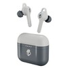 Skullcandy Indy Evo True Wireless in-Ear Earbud - Light Grey