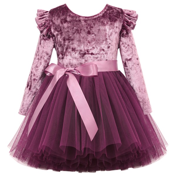 Flofallzique Toddler Velvet Dress Long Sleeve Girls Tulle Princess Dresses