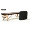 Foldable/Massage/Beauty Salons/Skin Care/Home Use/Portable