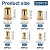 Set of 220 Rivet Nuts Assortment Set, Flat Head Threaded
