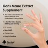 Lions Mane Mushroom 2000mg - 180 High Strength Vegan Tablets