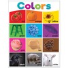 Teacher Created Resources Colorful Colors Chart