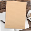 DOITOOL 100sheets Retro Letter Paper Lined Stationery Writing Paper Pack