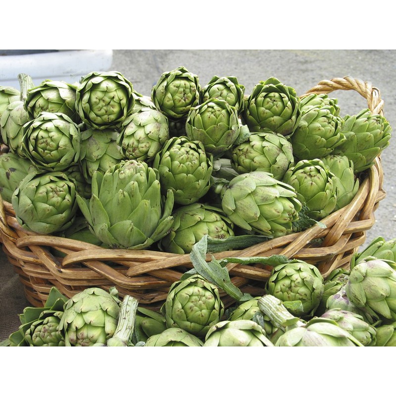 NIKA SEEDS - Seeds Vegetable Green Globe Artichoke - 20