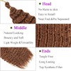 Alaleibaby Curly Braiding Hair 22 inch Ocean Wave Crochet Hair