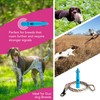 TDL Gun Dog Training Whistle with Lanyard - Dog Whistle