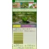Honjien Tea Japanese Tea Organic Powdered Green Tea, 3.5 oz