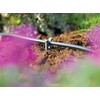 Hozelock T Piece 4mm (12 pack)