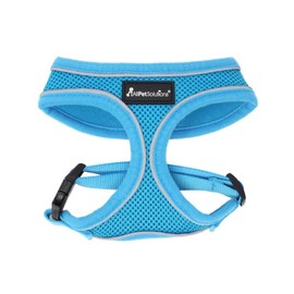 AllPetSolutions Dog Harness - Cool Pet Vest with Back D-Ring for Dog Lead Clips - Mesh Fabric Puppy Harness with Soft Padding - Training Stuff and Supplies for Small, Medium, Large Dogs - XL, Blue