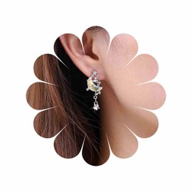 Inateannal Vintage Crystal Moon Star Earrings Silver Rhinestone Star Earrings Moonstone Half Moon Stud Earrings Sparkling CZ Moon Star Earrings Jewellery for Women and Girls, Zinc