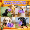 Tough Dog Chew Toys for Aggressive Chewers Large Dogs, Squeaky