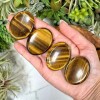 Natural Tiger Eye Palm Worry Stone Oval Polished Healing Crystal